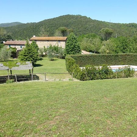 Agriturismo Le Colline Montescudaio Bilik gambar