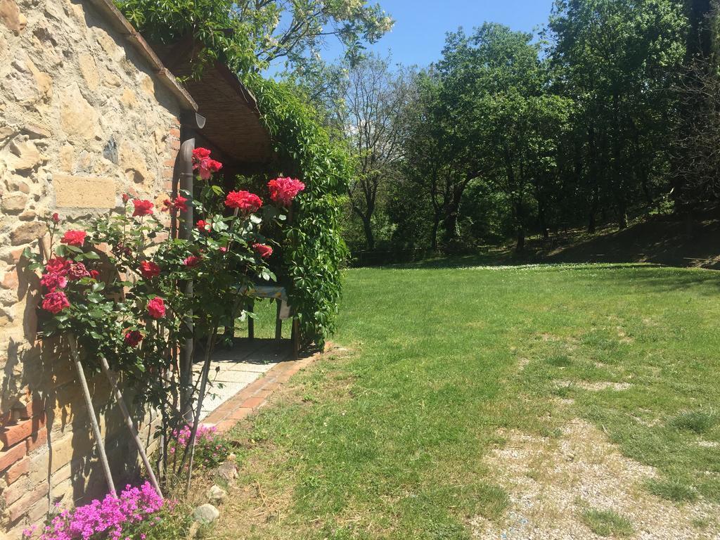 Agriturismo Le Colline Montescudaio Luaran gambar